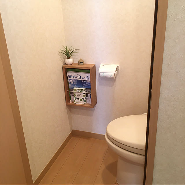 DIY,ナチュラル,ハンドメイド,Bathroom,壁に取り付けられる棚,マガジンラック,フェイクグリーン hanaの部屋