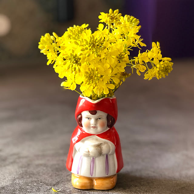 赤ずきん,菜の花,My Desk,花のある暮らし akaneの部屋