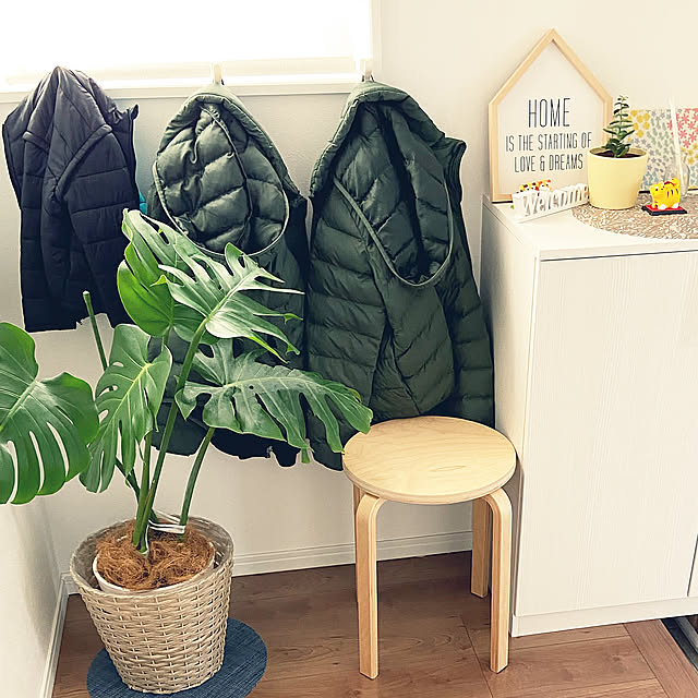 三兄弟の家,観葉植物,IKEA,100均,Entrance R.Kの部屋