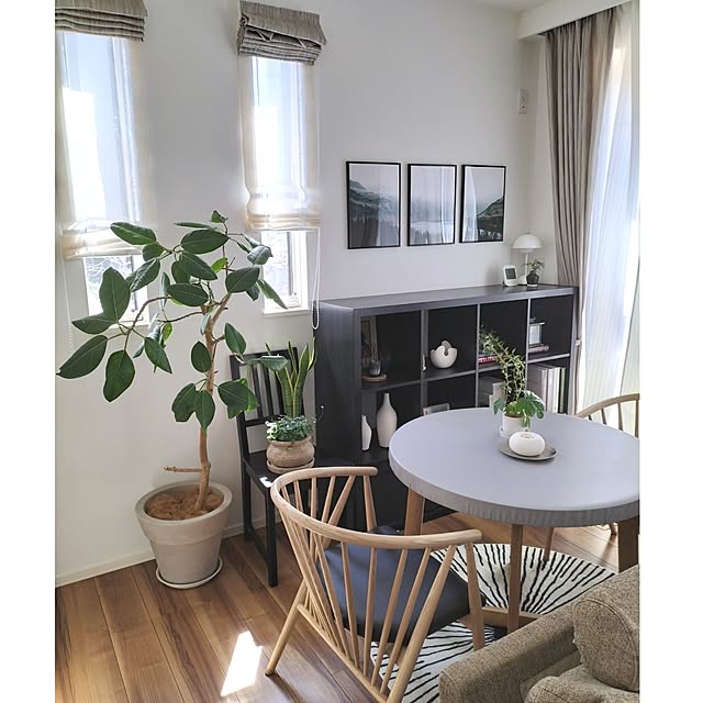 Lounge,春の模様替え,すっきり暮らす,観葉植物のある暮らし,心地よい暮らし,日々の暮らし,暮らしを楽しむ,ナチュラルモダンインテリア,ファミリーコーナー,グリーンコーナー♡,KAGUCOCOダイニングセット coco0.84.の部屋