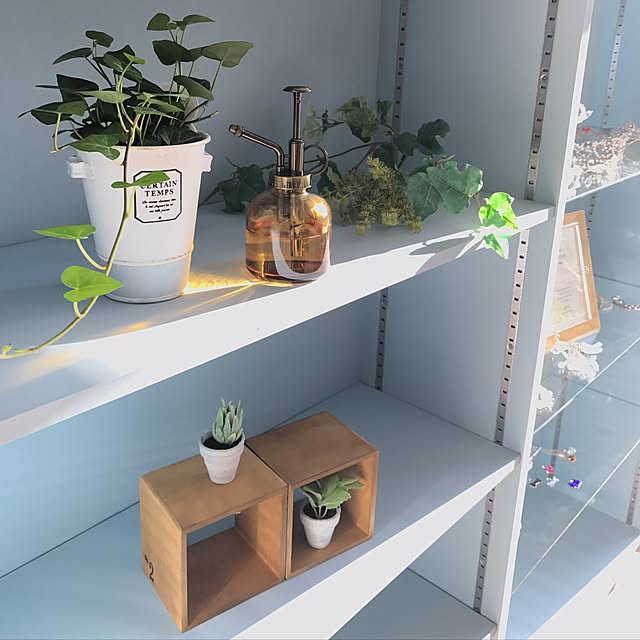 My Shelf,インテリア,GREENのある暮らし,観葉植物,アンティーク風,イギリス風,アンティーク大好き,ナチュラル,ドライフラワーのある暮らし,照明,アンティーク,漆喰壁,塗装 OldTreeの部屋