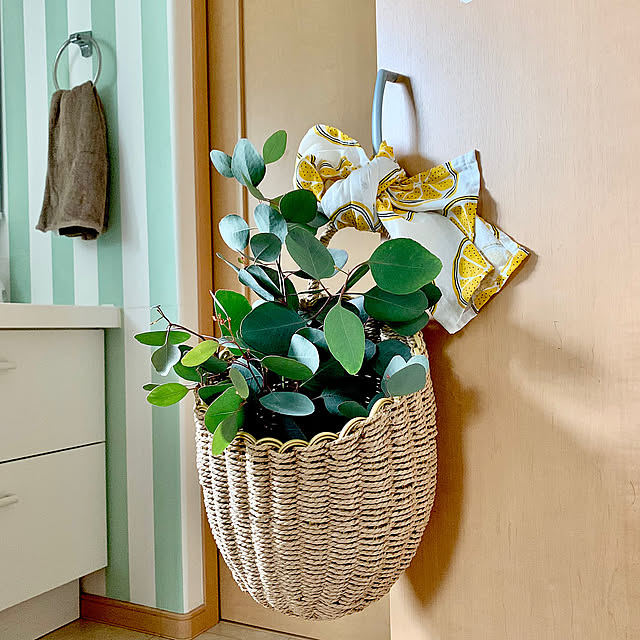 Bathroom,かご・バスケット,DIY,フェリシモ,かごバッグ,FELISSIMO,壁掛け収納,植物のある暮らし,ボタニカルインテリア HAKOの部屋