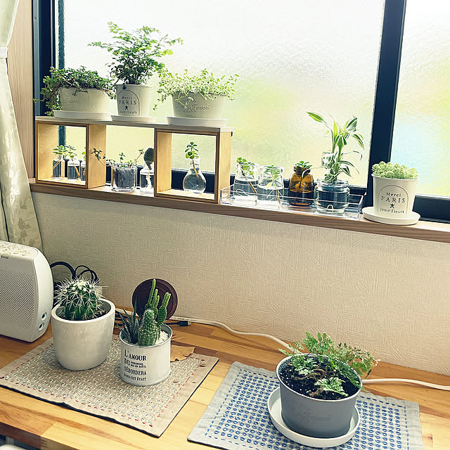 「省スペースに使える！ボンド接着だけでOKな植物棚のレシピ」 by SSSSさん