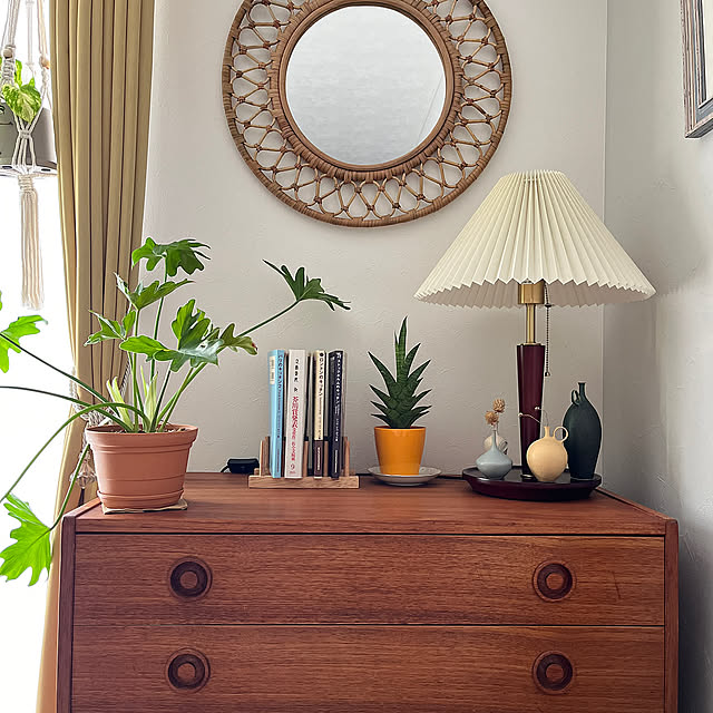 My Shelf,100均アイテム,ディッシュスタンド活用法,本立て,ダイソー　ディッシュラック siosai10の部屋