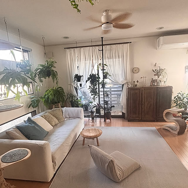 Lounge,春の模様替え,観葉植物,春 greycatsの部屋