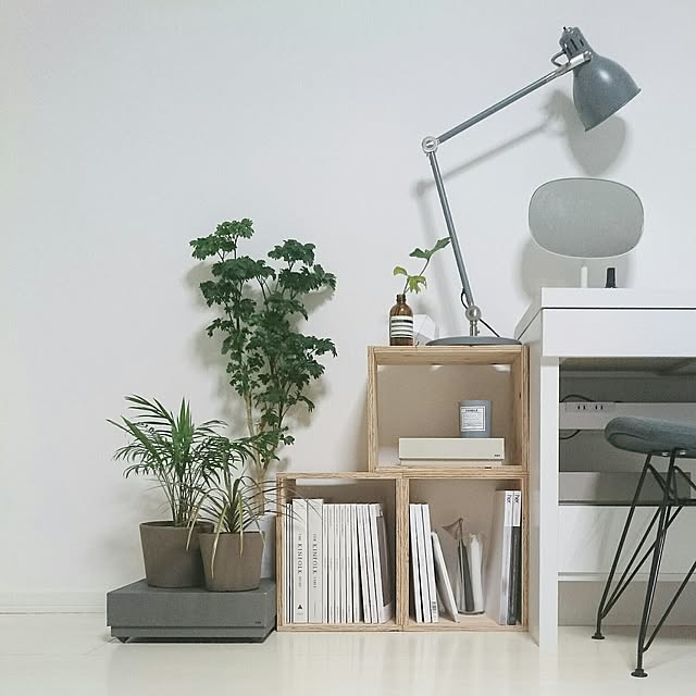 Lounge,シンプルインテリア,IG→uco122,シンプリスト,シンプルライフ,シンプルな暮らし,植物のある暮らし,植物,収納,整理収納,整理収納部,IKEA,Aesop,HAY,Normann Copenhagen,観葉植物,お久しブリーフ…,変化がありました…。,しただけ,重ねただけ,並べただけ,BW系 Ucoの部屋