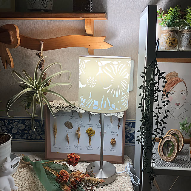 観葉植物,salut!,ニトリ,Lounge himetanの部屋