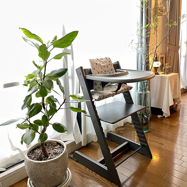 長く使える家具,ベビーチェア,トリップトラップ,TRIPP TRAPP,STOKKE,RoomClip10周年,2人暮らし,Lounge,枝もののある暮らし,グリーンのある暮らし,ドウダンツツジ,フィカスアルテシマ,孫くんの椅子,ストッケ yasuyo66の部屋