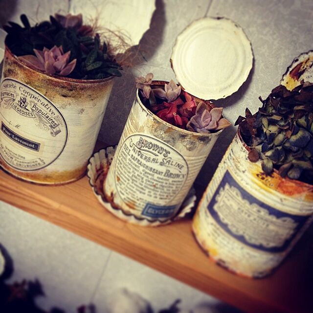 My Shelf,冬支度,多肉植物,リメ缶,サビサビペイント♡,ドライフラワー Tom.の部屋