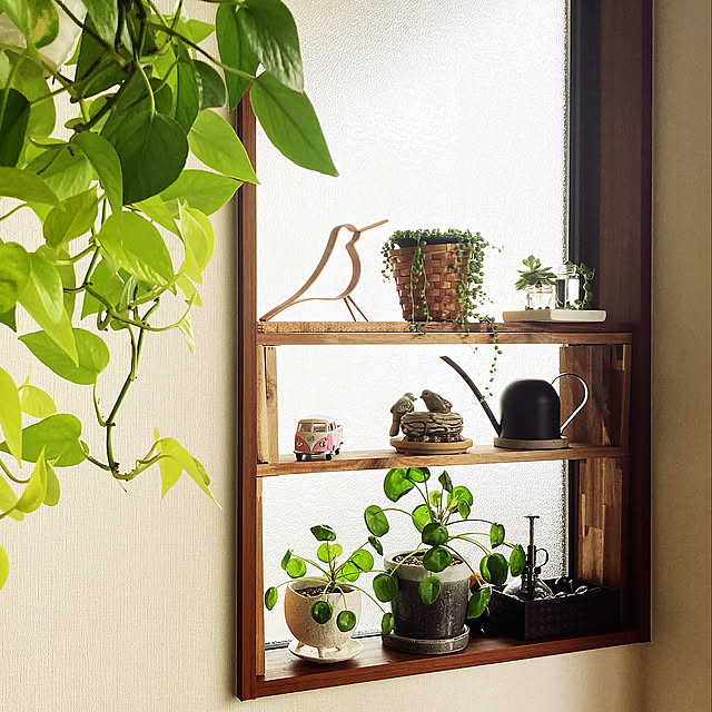 ニッチ,ナチュラル,雑貨,北欧,多肉植物,観葉植物,DIY,My Shelf yuaroomの部屋