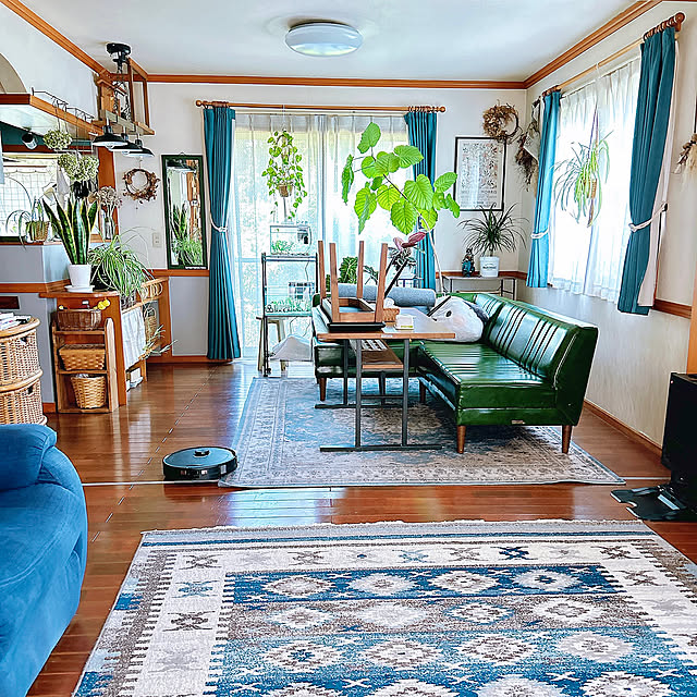 Lounge,Roborock Q Revo,ロボロック ラボ,ロボット掃除機,買ってよかったもの,リビングダイニング,注文住宅,平屋暮らし,観葉植物のある暮らし,平屋築31年,ドライフラワーのある暮らし,犬のいる暮らし haruの部屋
