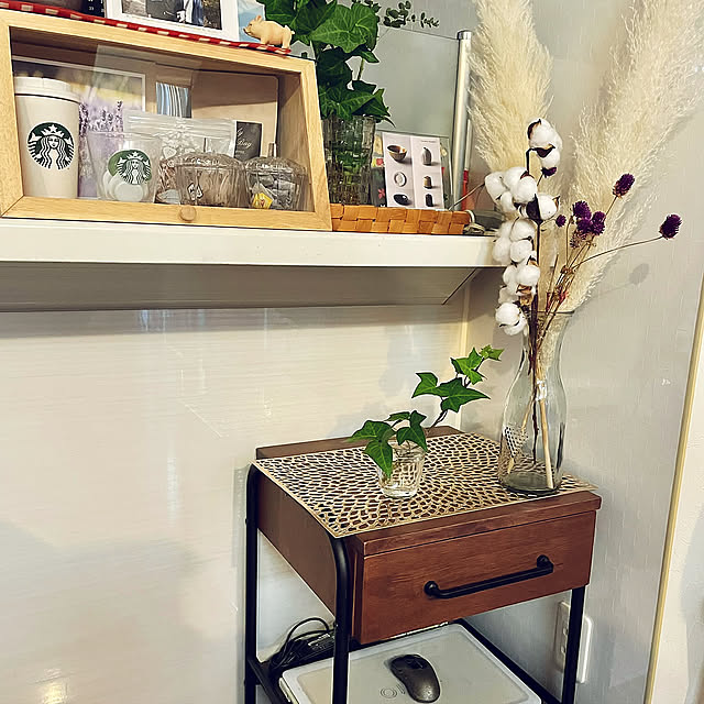 観葉植物,ニトリ,トイプードルと暮らす♡,ドライフラワー,Kitchen Misakaの部屋