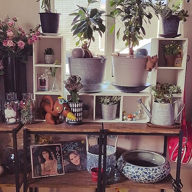 Overview,セリア,100均,雑貨,ダイソー,観葉植物,レトロ,DIY,多肉植物,フェイクグリーン umeboshicyanの部屋