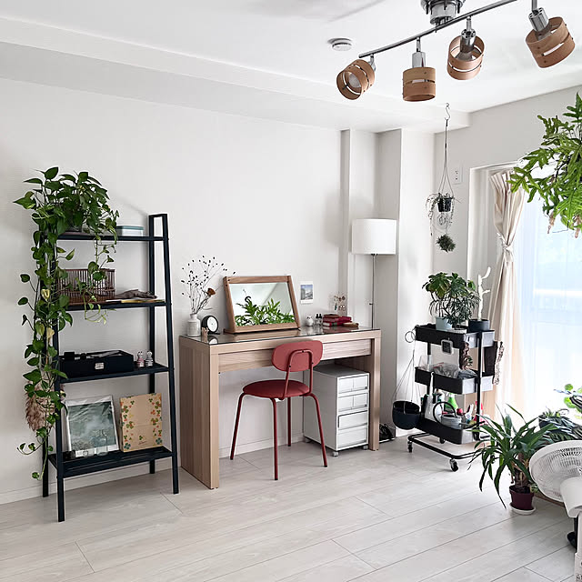 ポリプロピレンケース,IKEA,ドレッサー,二人暮らし,3LDK,MALM,北欧好き,ふたり暮らし,無印良品,植物のある暮らし,My Desk sunの部屋