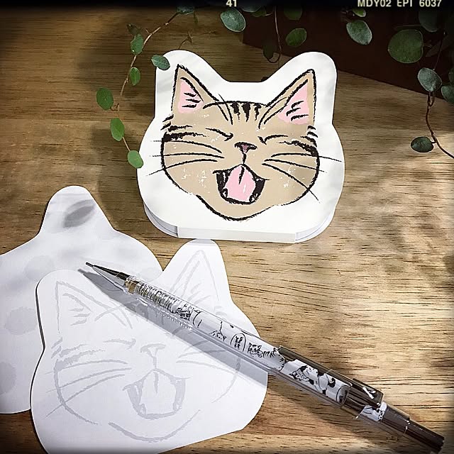 猫雑貨,ダイソー,日替わり投稿企画!月曜日,買ったもの,団地,賃借,100均　 emiの部屋