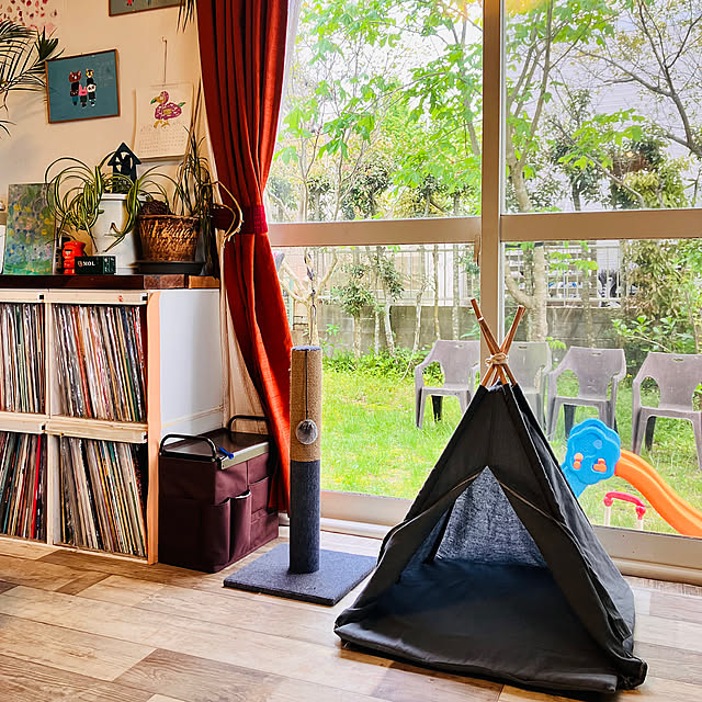 Lounge,庭のある暮らし,ティッシュケース　オシャレ,爪研ぎ,猫テント,猫と子供のいる暮らし,猫グッズ,スタンダードプロダクツ,窓辺のインテリア tomorinの部屋