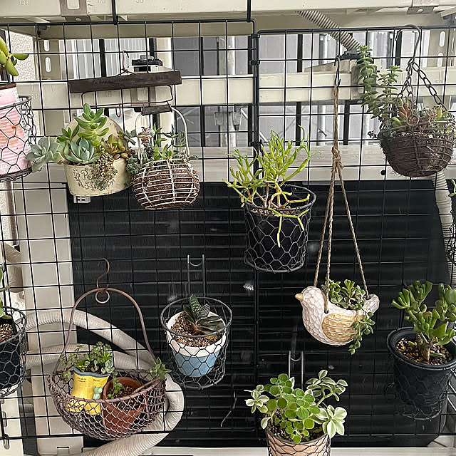 My Shelf,リメイク,観葉植物,ナチュラル,インテリア,雑貨,リノベーション,ひとり暮らし,観葉植物のある暮らし,ハンドメイド,ダイソー fgtomatoes0560の部屋