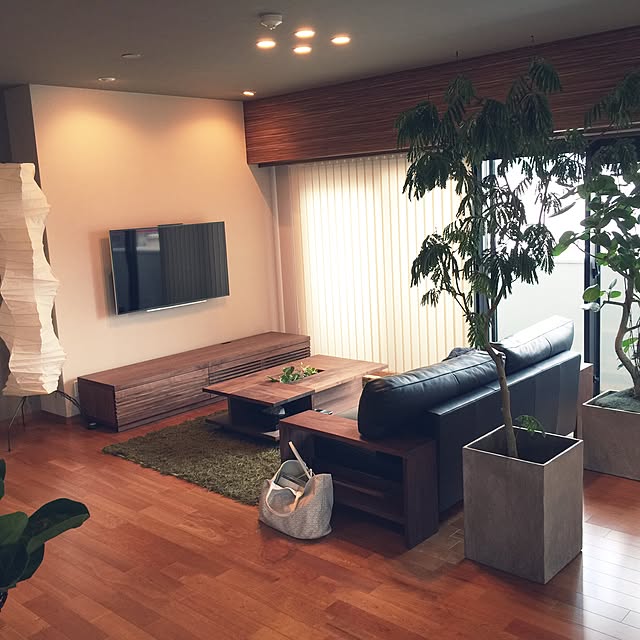 Lounge,ソファ,北欧,観葉植物,コーブ照明,壁掛けテレビ,KOKOROISHI,リフォーム,バーチカルブラインド,イサムノグチAKARI,ウォールナット壁紙,グレー好き Retrique.incの部屋