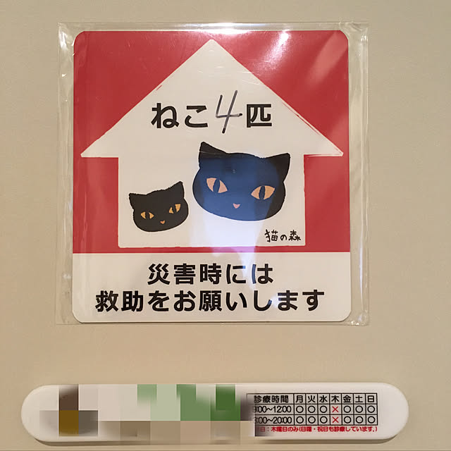 Entrance,ペットと暮らすインテリア,ねこのいる日常,猫,ねこ部,地震対策,マンション,ねこ,猫と暮らす,防災対策,災害,安全対策 bikkeの部屋