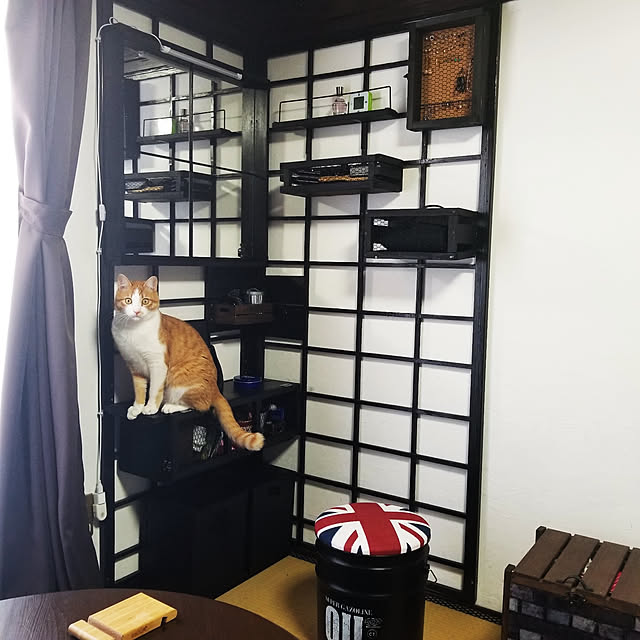 My Desk,木工,ペンキ塗りました,端材 DIY,ど素人リフォーム,コーナンの常連,再利用できるものは使う,中古物件リノベーション,お金をかけずに楽しむインテリア,見せられないなら隠してしまえ,コード隠し DIY,すのこリメイク,障子枠リメイク,ねこのいる生活,いたずら猫との暮らし,漆喰壁DIY,壁面棚DIY,イタズラ防止,鏡台DIY HANIWaの部屋