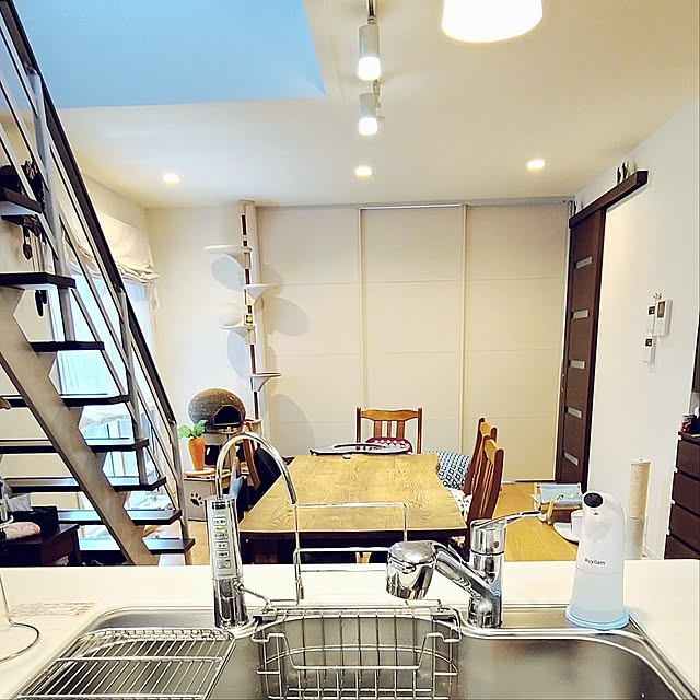 Overview,縦長のお部屋レイアウト,間仕切り扉,猫,猫のいる風景,ノルウェージャンフォレストキャット,セキスイハイム akiko6193の部屋