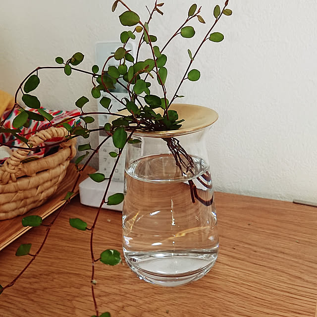 Overview,観葉植物,一輪挿し,KINTO,フラワーベース,NO GREEN NO LIFE,ワイヤープランツ,楽天スーパーセール renrikomamaの部屋