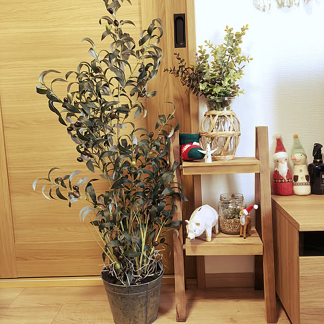 観葉植物,光触媒グリーン,こどもと暮らす。,RoomClipショッピング,ルームクリップショッピング,ウェルカムクーポン当選しました,ウェルカムクーポンありがとうございます♡,雑貨 nanaの部屋