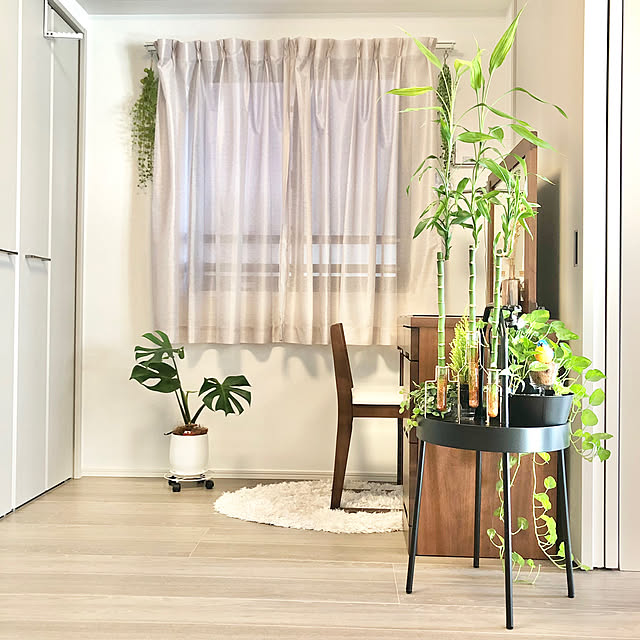 Bedroom,観葉植物,メイクコーナー,ドレッサー周り,新生活,RCの皆さまに感謝♡,夫婦二人暮らし,大川家具,ウォルナットのドレッサー,フランフランのラグ up0524の部屋