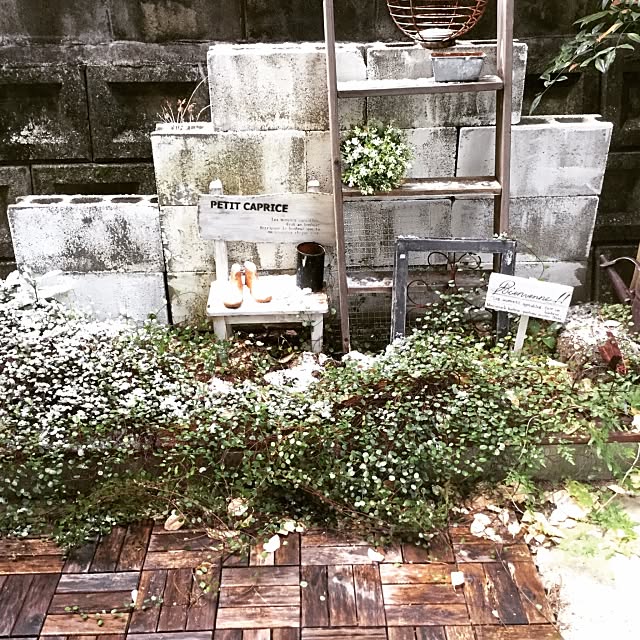 Overview,ワイヤープランツ,garden,雪化粧,小庭,みんなとたわむれ隊٩(♥ε♥ )۶,Instagram→NON32715,DIY,しゃれとんしゃあ会,関西好きやねん会,we.OTOKOMAE.want,ガーデニング,イケア nonの部屋