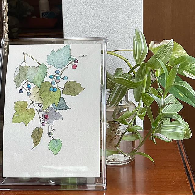 野葡萄の絵,観葉植物のある暮らし,逢,和モダン,冬,Lounge buchiの部屋