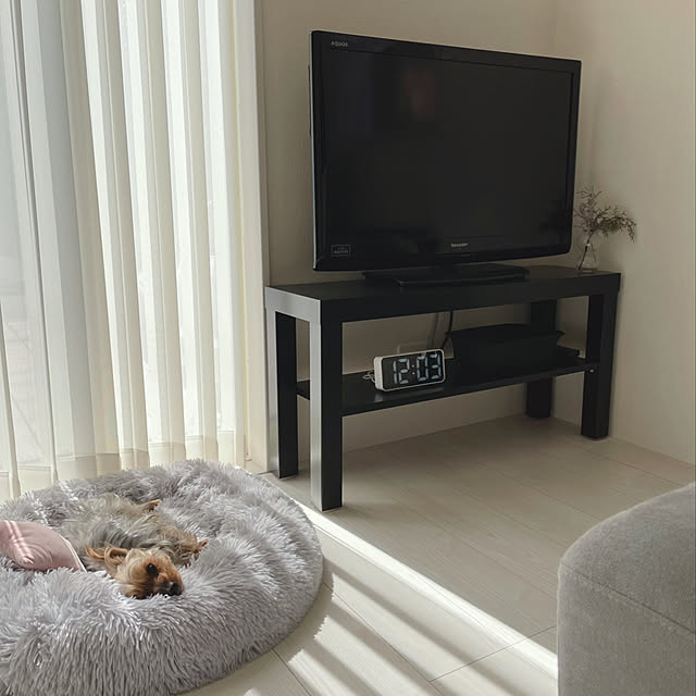 バブルフラワーベース,ドライフラワーのある暮らし,IKEAのテレビボード,わんこと暮らす家,ヨークシャーテリア,ヨーキー,セカンドリビング,デジタル時計,IKEA,時計,シンプルが好き,犬のいる暮らし,My Shelf,IKEA LACK yuminnieの部屋
