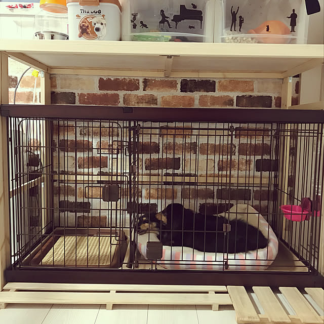 Lounge,いぬと暮らす,犬 ゲージ,棚作り,犬好き飼い主,いぬら部,ケージ周り,犬と暮らす家 リビング,DIY,犬ケージDIY,すのこDIY,リメイクシート,Daiso,100均 hikoの部屋