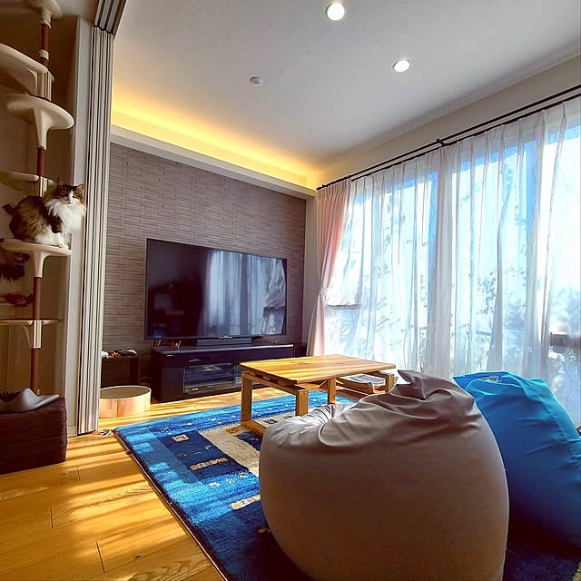 Lounge,インテリア,ギャッベ,ヨギボー,猫,ノルウェージャンフォレストキャット akiko6193の部屋