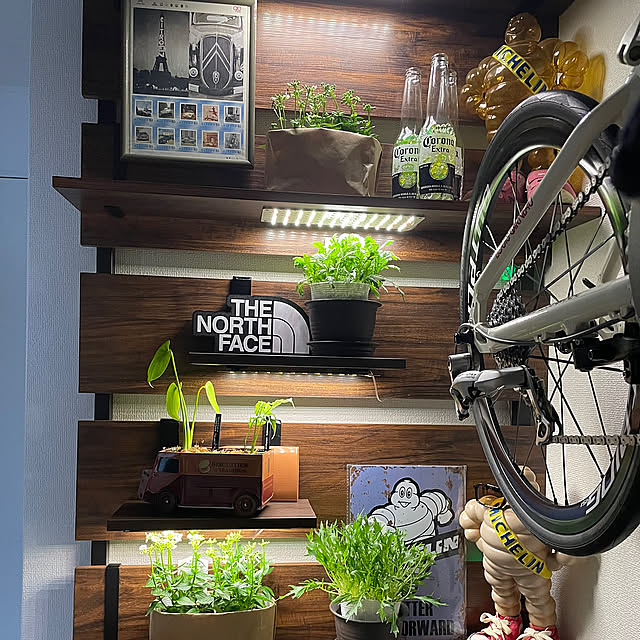 Entrance,ノースフェイス,ミシュラン,モンステラオブリクアペルー,モンステラデリシオーサタウエリー,雑貨,観葉植物,照明,ネメシア,植物育成ライト,シトロエン タイプH,野菜栽培 abap845の部屋