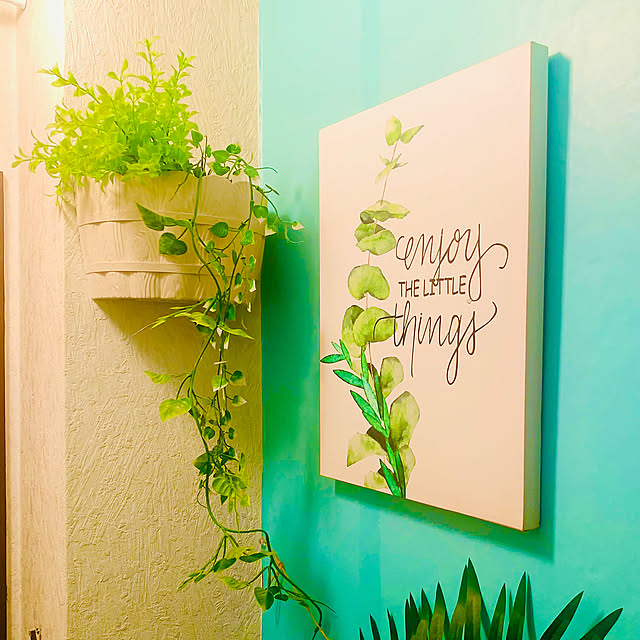 Bathroom,西海岸スタイル,カフェカーテン,モンステラ,アクセント壁,ターコイズブルー,トイレタリー,アートのある暮らし,グリーン,アクセントクロス,トイレのインテリア,No Green No Life,enjoythelittlethings,ボタニカル,西海岸テイスト tututu0204の部屋