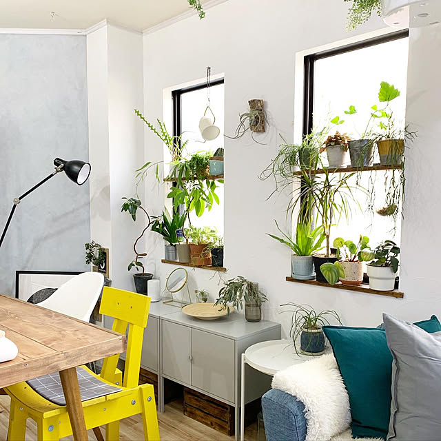 植物,中古住宅,グリーンのある暮らし,暮らしを楽しむ,植物のある暮らし,インスタ→kiki_nekko,インテリア,DIY,IKEA,On Walls kiki_nekkoの部屋