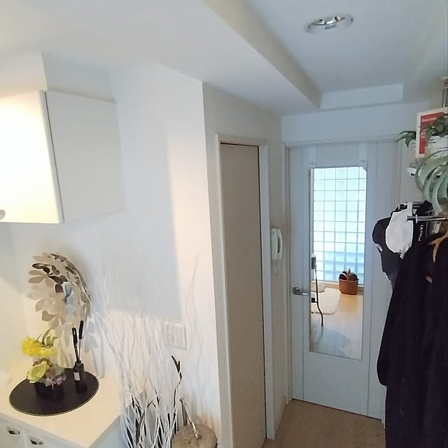 Entrance,ミラー,IKEAのミラー,ドア掛けミラー,映り込むガラスブロック,姿見,全身ミラー jinの部屋