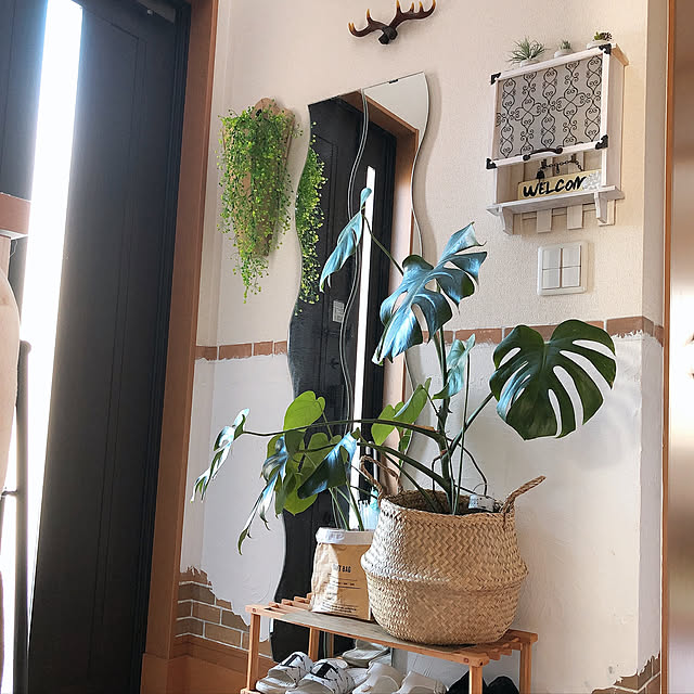 フローディス　バスケット.シーグラス,夏の模様替え,IKEA♡,いいね、フォロー本当に感謝です♡,感謝｡.:*ฺ✤ฺ,見て頂きありがとうございます♡,おはようございます♡,Entrance,モルモルペイント,カインズホーム♡ k.yuka29の部屋