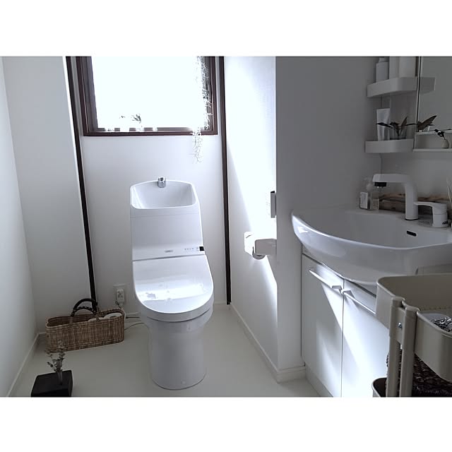 Bathroom,塩系インテリアの会,理系インテリア,ドライフラワー,古道具,ディスプレイ,白,塩系インテリア,エアプランツ,多肉植物 umaimesikuitaiの部屋