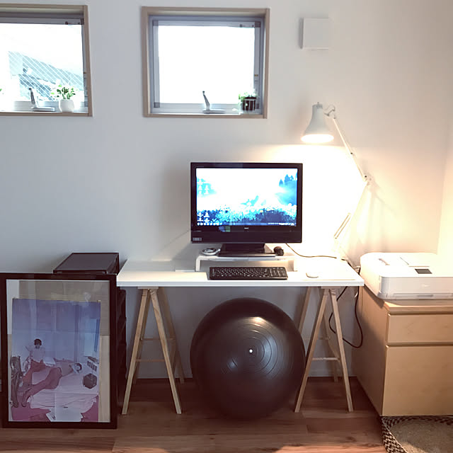 ワークスペース,バランスボール,ミニマムに暮らしたい,天窓のある部屋,ナチュラル,ねこのいる風景,ねこと暮らす,グリーン 初心者,My Desk chiapetの部屋