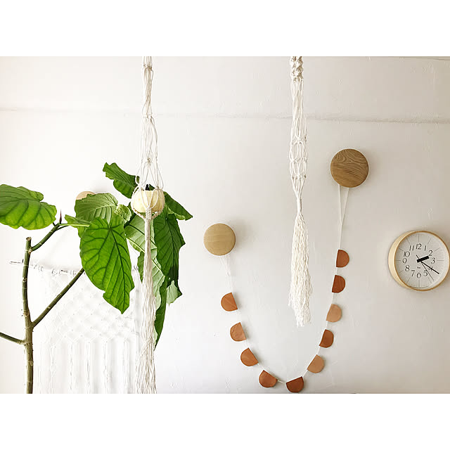 100均,ウンベラータ,マクラメタペストリー,かぼちゃ,プラハン,プラントハンガー,セリア,MUUTO,RIKI Clock,ガーランド,グリーンのある暮らし,いいね&フォローありがとうございます☆,北欧xDIY,漆喰壁,マンションインテリア,ヌメ革,Bathroom Hisayoの部屋