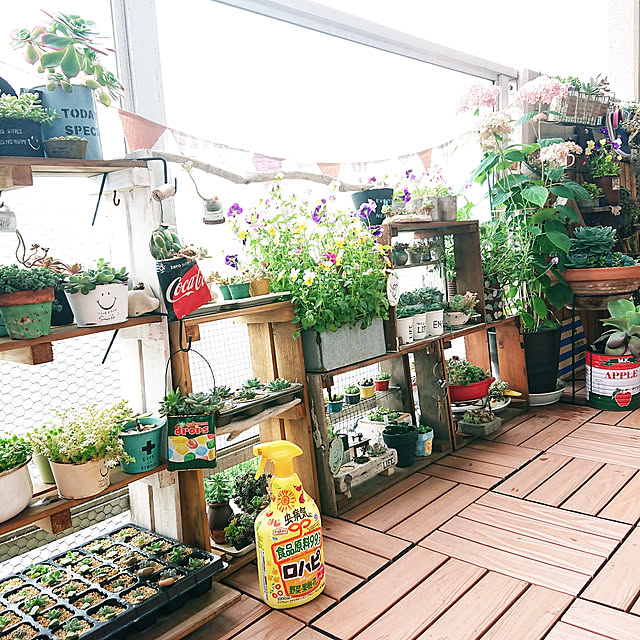 家庭菜園 植物 花のある暮らしに 99 9 食品原料なのに効き目バツグンの 虫 病気対策アイテムとは Roomclip Mag 暮らしとインテリアのwebマガジン