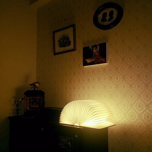 Bedroom,ディズニー,イタリア,逃げ恥,ブック型,照明,雑貨 yossuwyの部屋