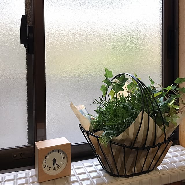 Bathroom,洗面所,ニトリフェイクグリーンモニター,ニトリフェイクグリーン,日本家屋,ig→momo_peng228,無印良品,ニトリ,ブログしてます♡,無印,DIY,整理収納アドバイザー,すっきり暮らしたい pengの部屋