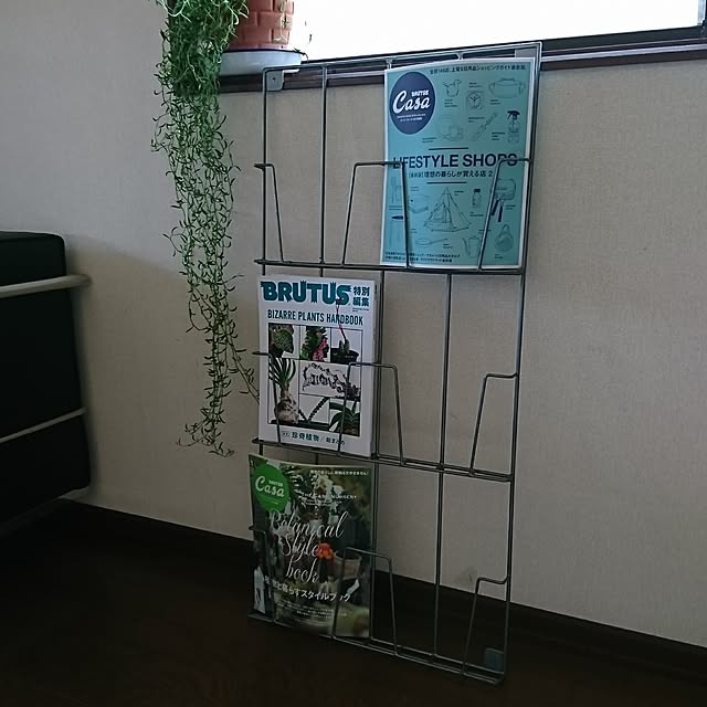 多肉植物,コルビジュエリプロダクト,カーサブルータス,On Walls Kの部屋