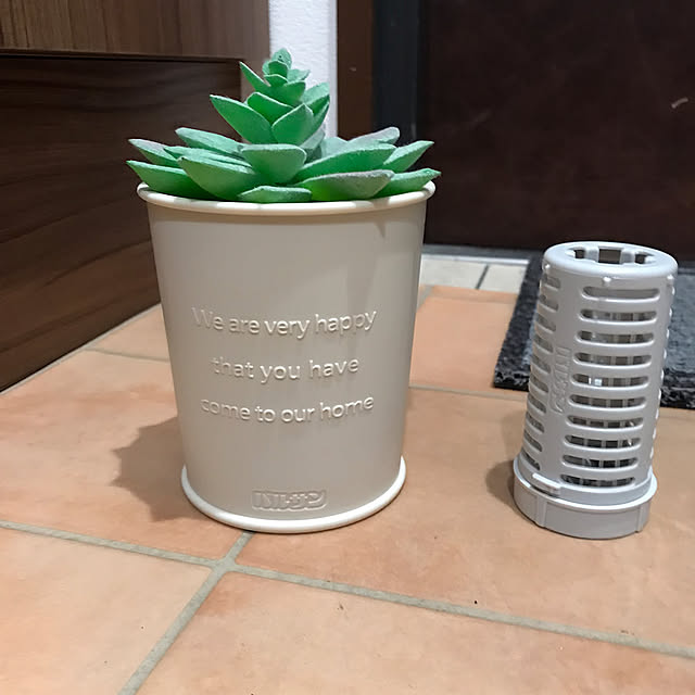 リピ買い,日用品,バルサン,バルサン虫こないもん,虫除け,レック,マンション,カートリッジ,LOHACO,イベント参加,実用的,フェイクグリーン,多肉植物,鉢植え,なんちゃって,Overview,玄関 mi-saの部屋