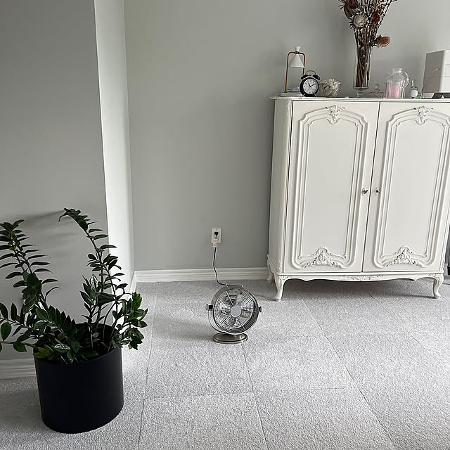 Bedroom,Amazon,観葉植物 Mikiの部屋