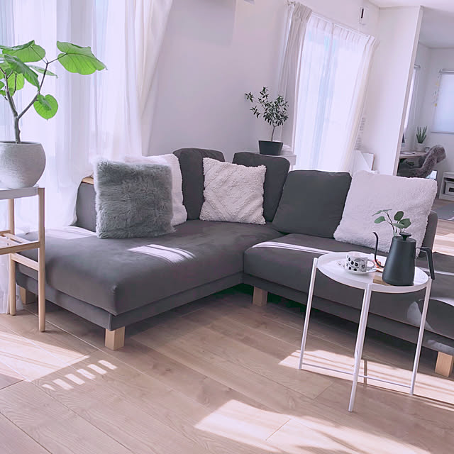 Lounge,DAIKENの床,オリーブ,ウンベラータ,NOYESソファー,至福の時間,グレー好き♡,ACTUS(アクタス),2019.1月,植物のある暮らし,東北,こどもと暮らす。,IKEA,北欧シンプル,山善,温調ケトル,ブラックパラティッシ,くらしのeショップ otamaの部屋