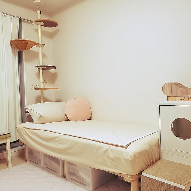 Bedroom,ナチュラル,雑貨,一人暮らし,夜,北欧インテリア,楽天,６畳,猫と暮らす家,ねこと暮らす,せまい部屋,韓国雑貨,６畳1K,20m2,ベッド,キャットタワー JIHYEの部屋