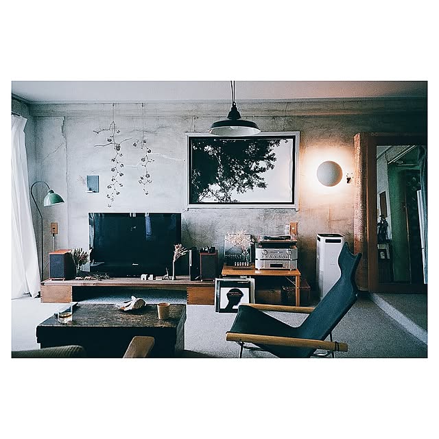 Overview,ニーチェア,照明,賃貸,植物,レコードプレーヤー,レコード,テレビ台,オーディオ,光,テレビ,フィルムカメラ,フィルム EVOBの部屋